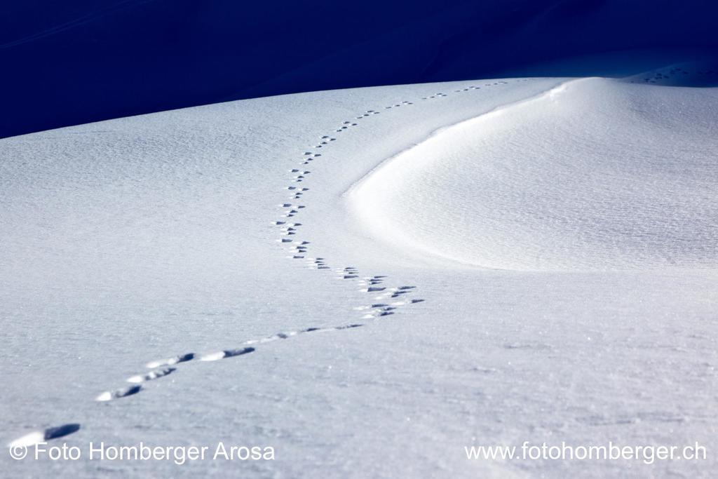 Arosa Vetter Hotel Luaran gambar