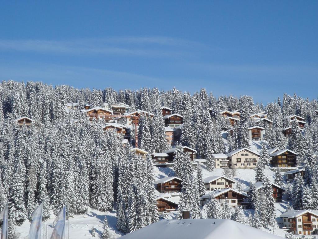 Arosa Vetter Hotel Luaran gambar